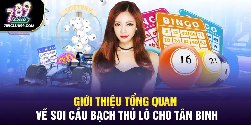 Giới thiệu tổng quan về soi cầu bạch thủ lô cho tân binh