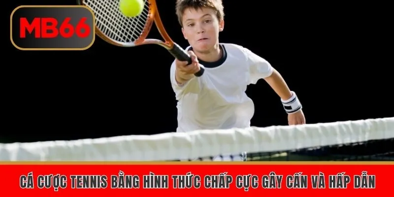 Cá cược tennis bằng hình thức chấp cực gây cấn và hấp dẫn